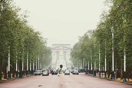 London, Storbritannien, Road, vänster trafik, gatubilden, taxi, Avenue