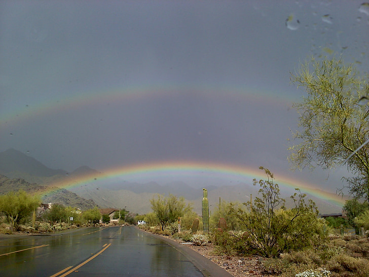 rainbow, street, wet, rain, arizona, landscape, weather