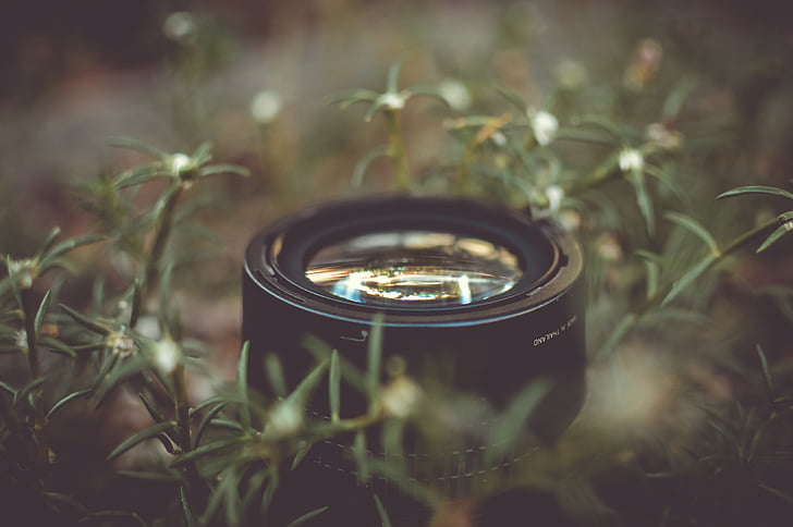 black, camera, lens, green, grass, photography, lawn