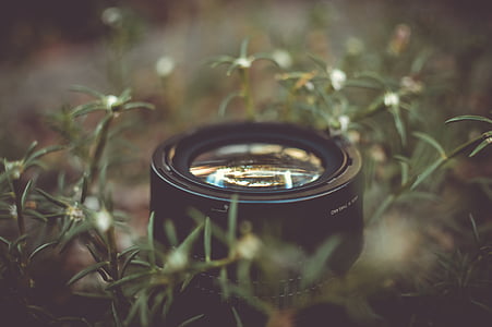 màu đen, máy ảnh, ống kính, màu xanh lá cây, cỏ, Nhiếp ảnh, Bãi cỏ
