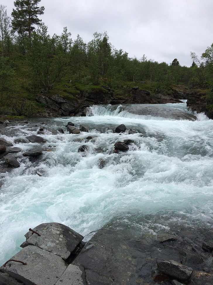 abisko, mountain rapids, water courses, river