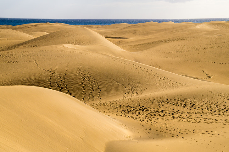 poušť, písečné duny, Příroda, Gran canaria, Maspalomas