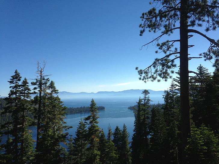 lake, tahoe, landscape, nature, shore, sierra, tree