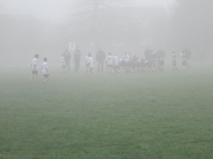 Rugby, mist, sport, spelen, team, competitie, spelen