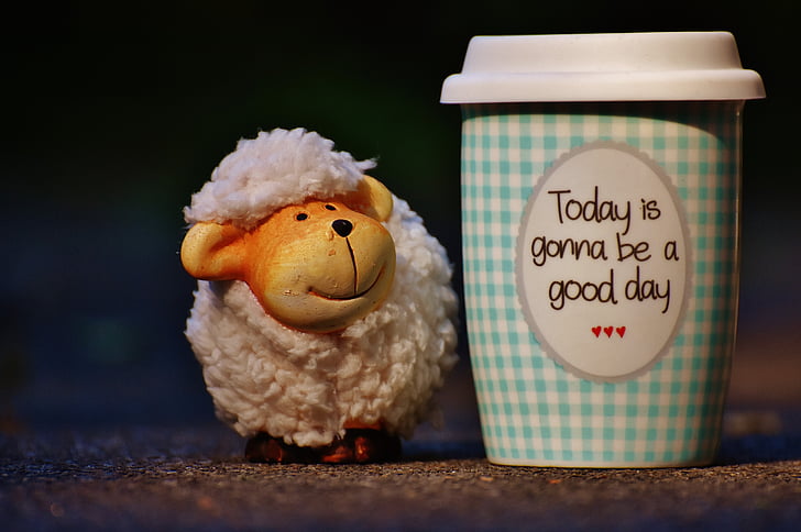 oveja, hermoso día, para ir, alegría, café, taza, feliz