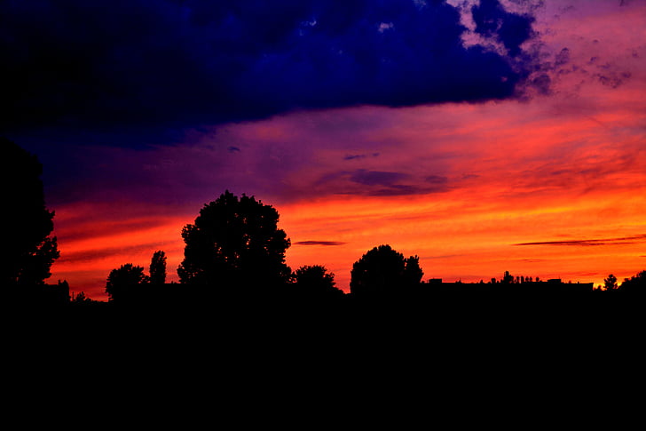 sunset, cloud, night, storm, sky, tree