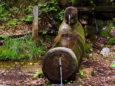 Fontana, napój, wody, Fontanella, zielony, lasu, Natura