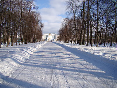 the palace ensemble tsarskoe selo, russia, alley, trees, palace, road snow, winter