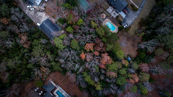 Luchtfoto, fotografie, gebouwen, bos, boom, op het dak, Drone