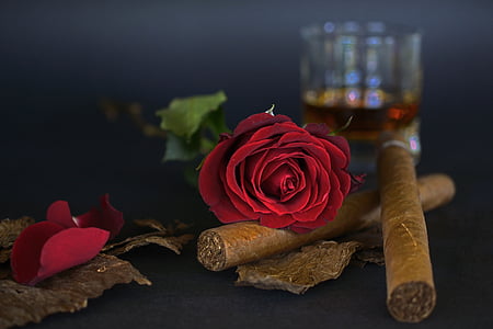 rose, red rose, cigar, tobacco leaves, whiskey glass, whisky, drink