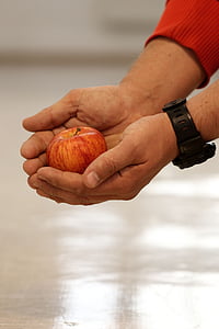 Apple, frukt, friska, kost, händer, mänskliga, mat