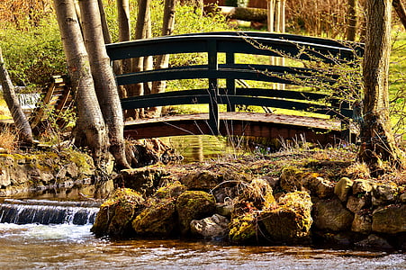 puente, de Bach, agua, naturaleza, Arroyo puente, Web, árboles