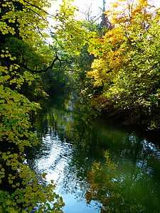automne, humeur automne, arbre, eau, Danube, Banque