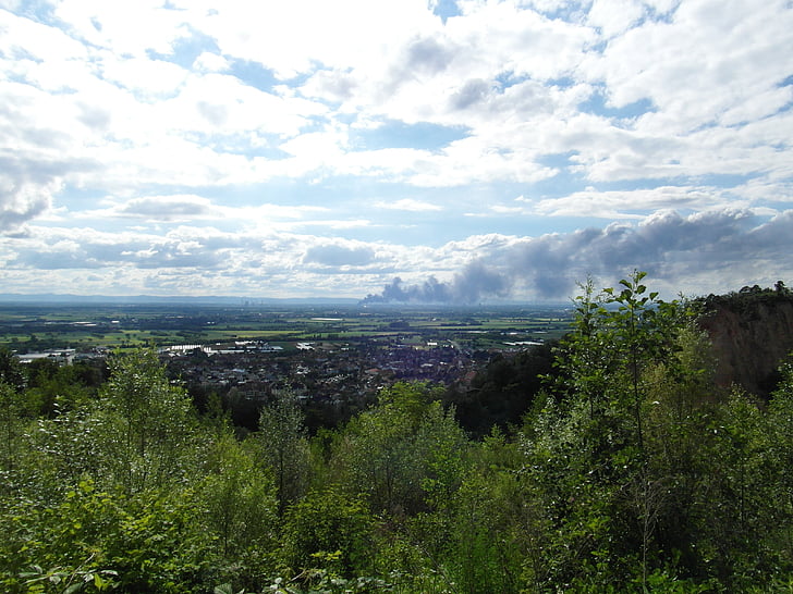 brand, rhine valley, ludwigshafen, cloud of smoke, nature, tree
