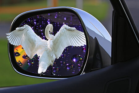 montagem, espelho, espelho de carro, espelho lateral, imagem de espelho, reflexão, penetração