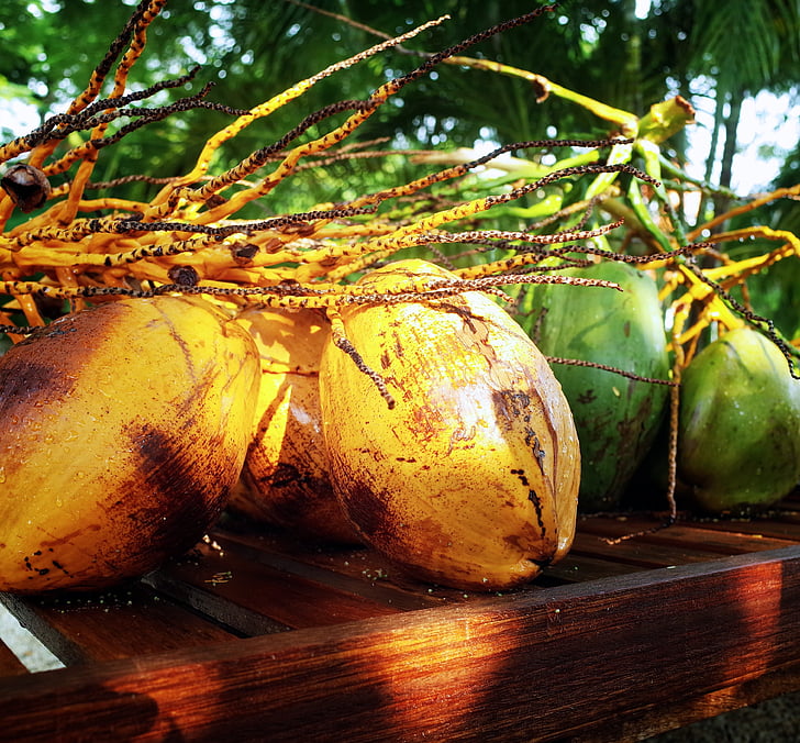 kokos, tropisk frukt, mat, friska, exotiska, färsk, naturen