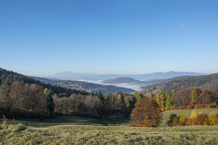 autumn, forest, landscape, mountains, nature, sky, trees