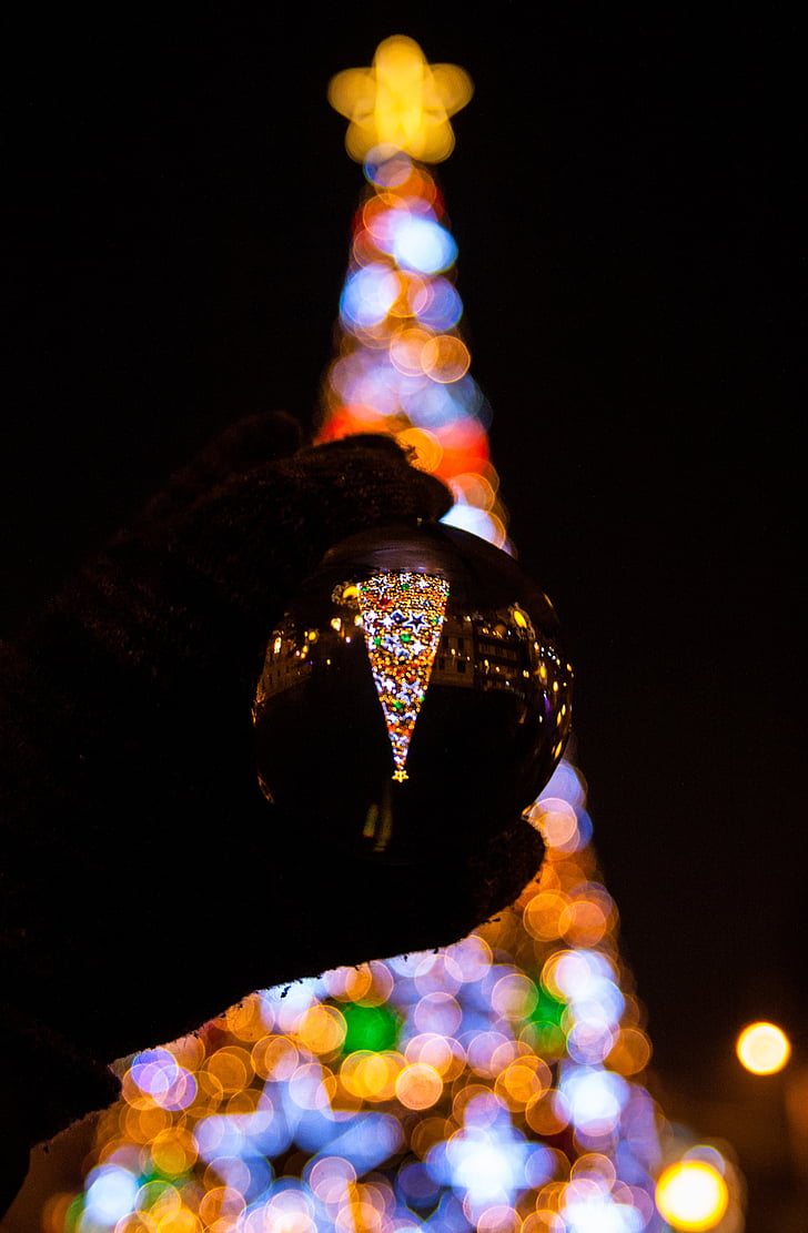 person, holding, glass, ball, nighttime, christmas, tree