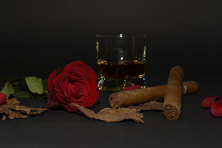 růže, červená růže, doutník, tabákové listy, sklenka na whisky, whisky, nápoj