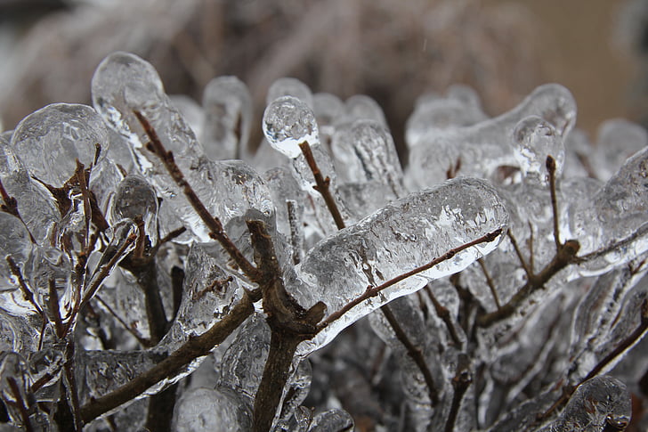 icicles, tuyết, lạnh, mùa giải, Frost, trắng, Thiên nhiên