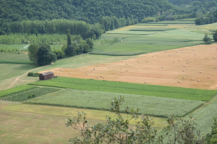 france, field, country, nature, provence, agriculture