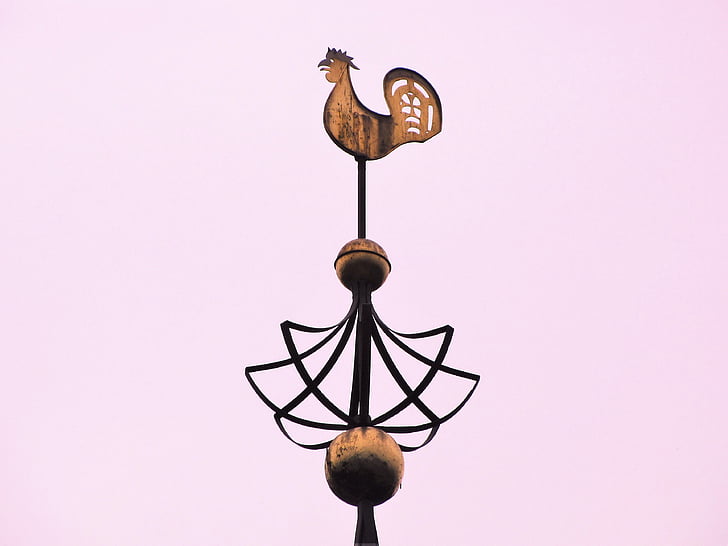 Haan, weathercock, Vind pik, Vindfløj, spir, ornament, fugl