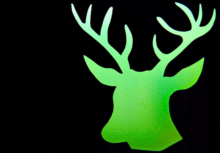 hewan, Hirsch, kepala rusa, tanduk, hijau, kontur, garis besar