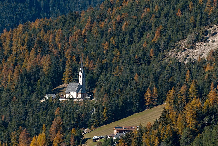 skog, høst, kirke, St. Jakob, natur, fall farge, oktober