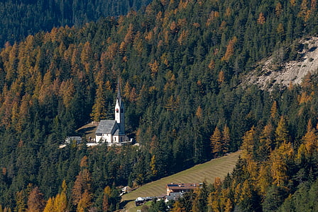 Forest, jeseň, kostol, St Jakob, Príroda, jeseň farby, októbra
