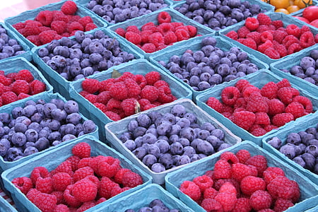 bær, frisk, blåbær, Sommer, deilig, organisk, spise sunt