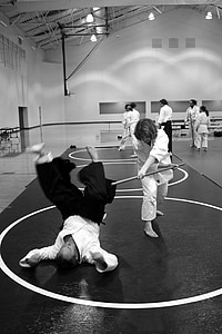 Aikido, kampsport, självförsvar, lärande, seminarium, Senseis, utbildning