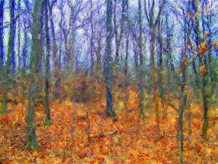 woods, trees, forest, autumn, fall, painting, art