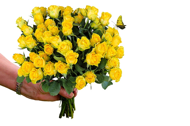 cvetje, šopek, vrtnice, hvala, najlepša hvala, rojstni dan, voščilnice
