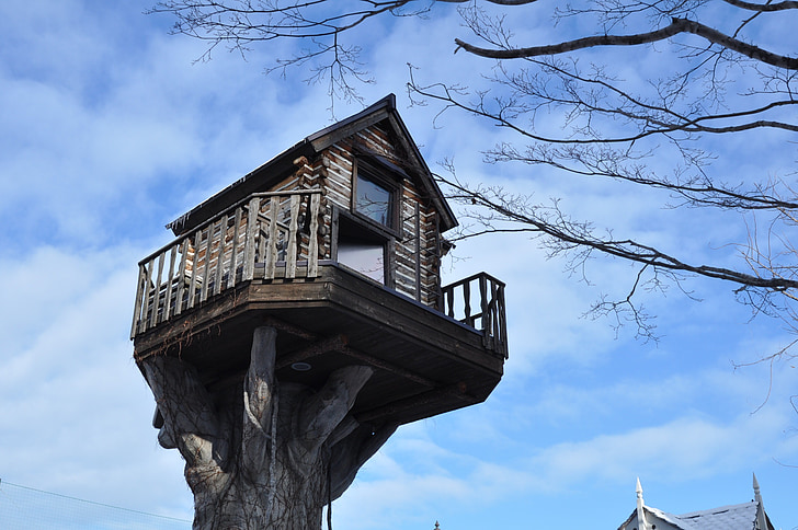 Japan, Hokkaido, u drvetu, nenormalan, arhitektura