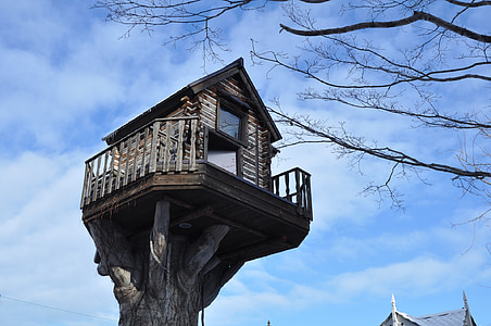 Japonsko, Hokkaido, v domě na stromě, abnormální, Architektura