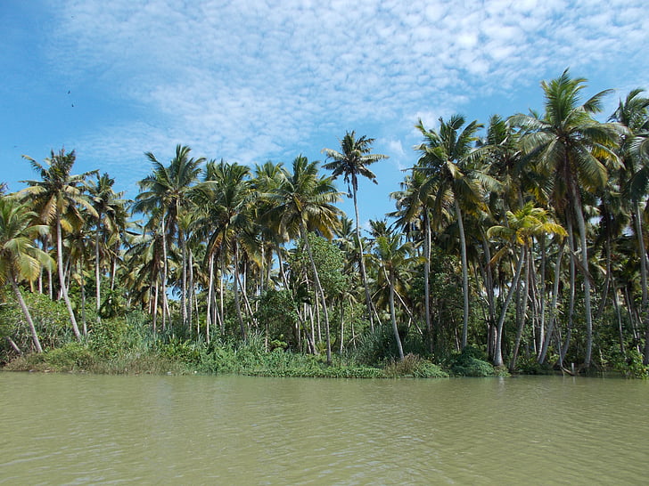backwaters, poovar, Тируванантапурам, Керала, езеро