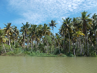 rozlewiska, Poovar, Trivandrum, Kerala, Jezioro
