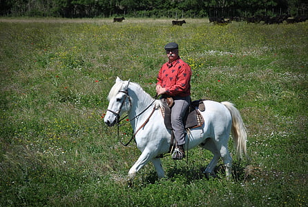 Camargue, άλτης, άλογο