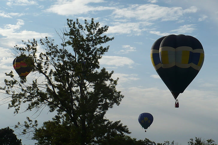 balon udara panas, Festival, balon, terbang, mengambang