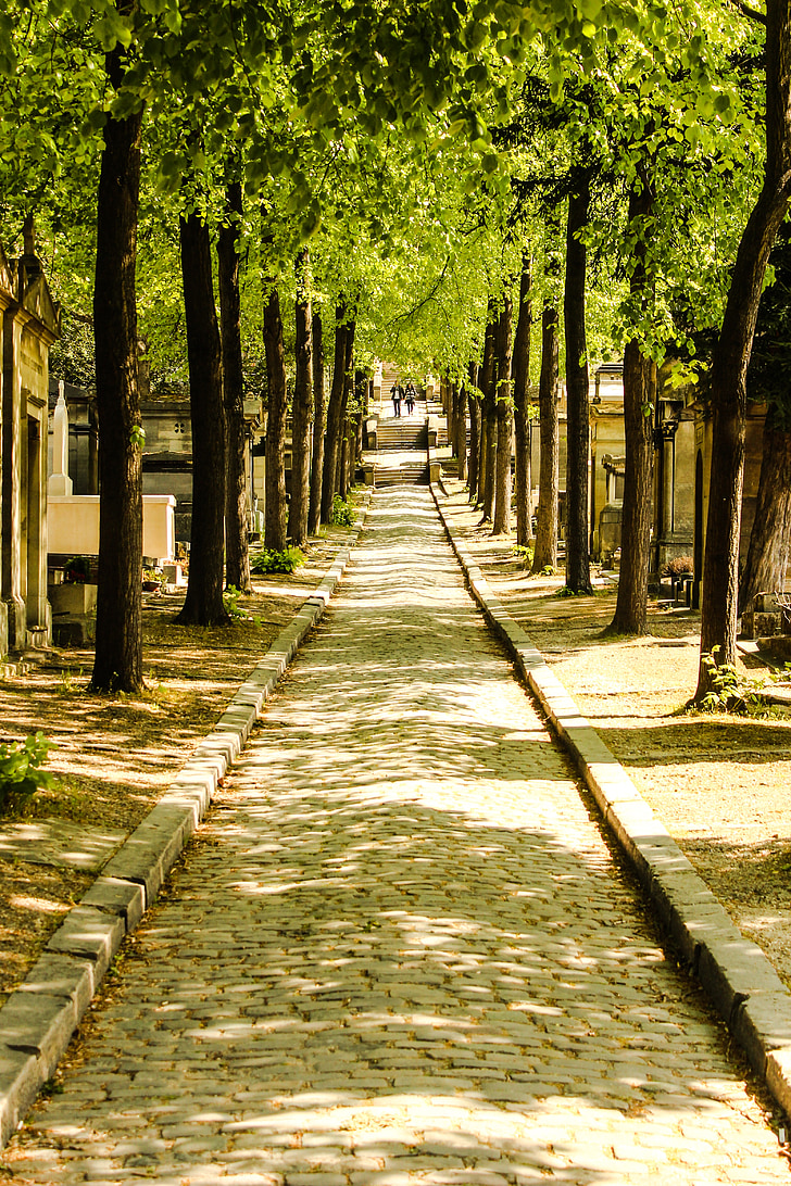 Francie, Paříž, hřbitov, sluneční světlo, Cimetière du Père lachaise, hrob, léto
