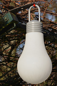 lamp, light bulb, lighting, decoration