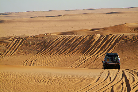 撒哈拉沙漠, 沙漠, 4 x 4, 沙丘, 沙子, 拉力赛越野