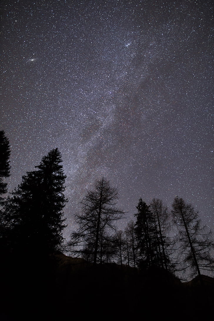 zvaigznes, tumša, naktī, zvaigznājs, daba, Astrophotography, koki
