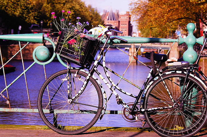 bicicleta, flores, locomoção, lazer, arte, flor, embelezamento