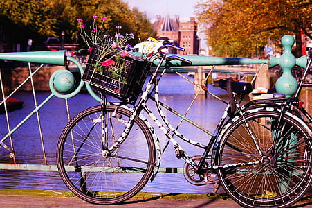 bicicleta, flors, locomoció, oci, Art, flor, embelliment