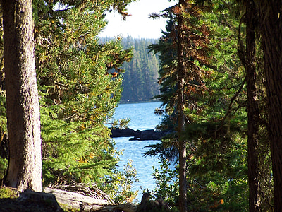 Waldo lake, See, Bäume, Schönheit, Natur, friedliche, Ruhe