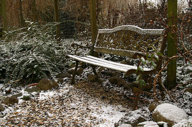 Panca da giardino, inverno, nevicata, natura, neve, freddo, giardino