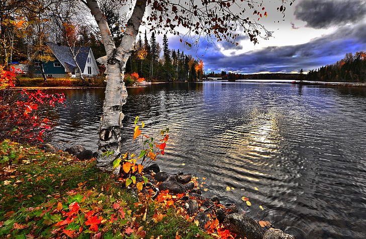 paisagem de outono, Outono, paisagem, folhas, serenidade, colorido, cores brilhantes
