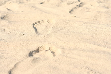 foto, pēdas, smilts, pludmale, daba, ziemas, Nr cilvēki