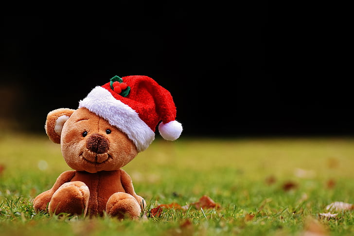christmas, teddy, soft toy, santa hat, funny, grass, no people